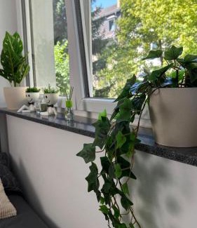 Leipziger Straße Apartamento | Klein und feines City Apartment