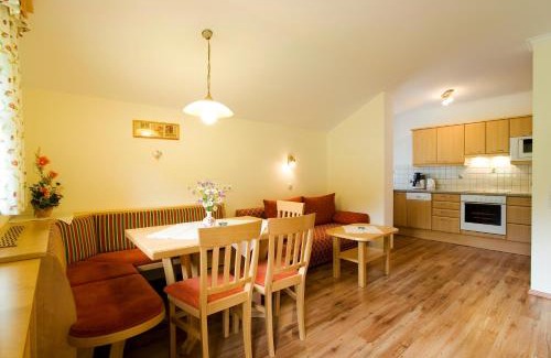 Grossarl Apartamento | Kleinellmauhof