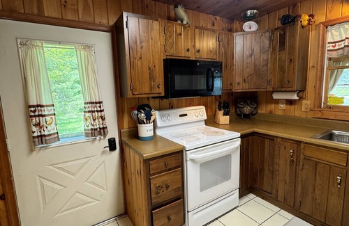 Milford Casa | Knotty Pine - Private cabin nestled in the woods, fire pit, near CDP/ASV