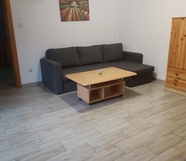 Przemet Casa | Końskie Zacisze parter
