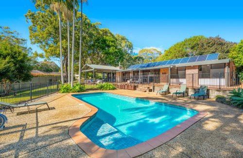 Port Macquarie Casa | Koalas at Links Lighthouse Beach