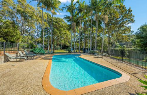 Port Macquarie Casa | Koalas at Links Lighthouse Beach
