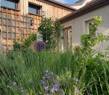 Dessau-Rosslau Apartamento | Kochstedter Wohnstuben - Wohnen mit Naturbaustoffen in der Bauhausstadt Dessau