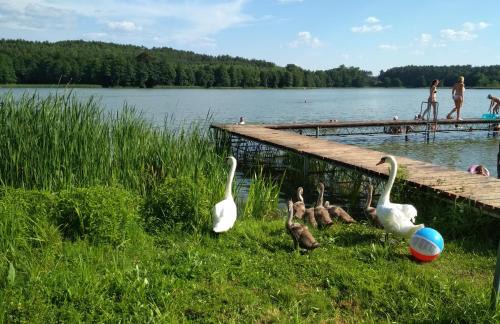 Wielen Casa | Koci Grzbiet Agroturystyka