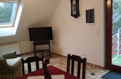 Wielen Casa | Koci Grzbiet Agroturystyka