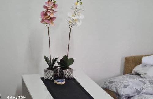 Zlatibor Apartamento | Kod nane Cane