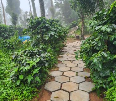 Kodaikanal Casa | Kodai Glamping Woods