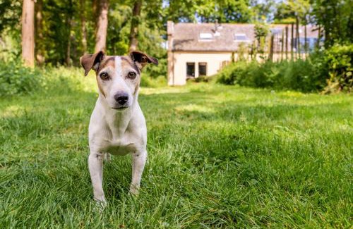 Oostkapelle Casa | Koetshuis Buitenplaats Iepenoord