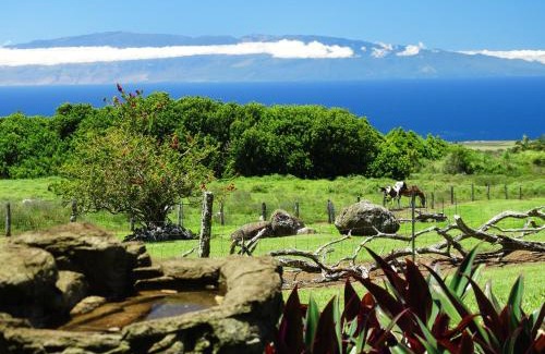 Hawi Casa | Kohala Lodge- Vacation Rental House