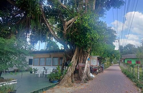 Ko Mook Casa | Kohmook treehouse