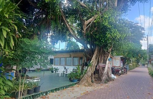 Ko Mook Casa | Kohmook treehouse