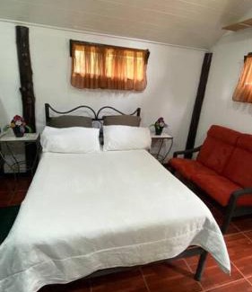Canton Dota Casa | Koi's House - Quebradillas de Dota