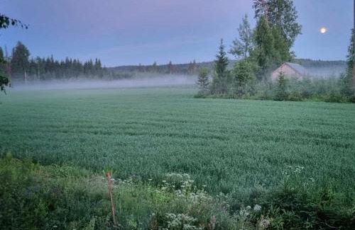 Rautjarvi Apartamento | KoloCabins- Hiitolanjoki 3