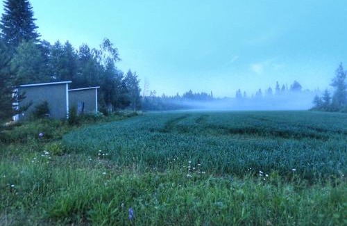 Rautjarvi Apartamento | KoloCabins - Hiitolanjoki 4