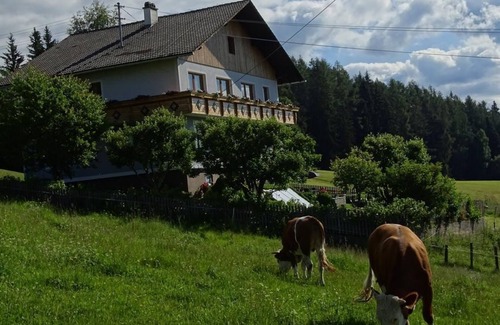 Oberwolz Apartamento | Komfortzimmer mit Balkon - Fewo Würger