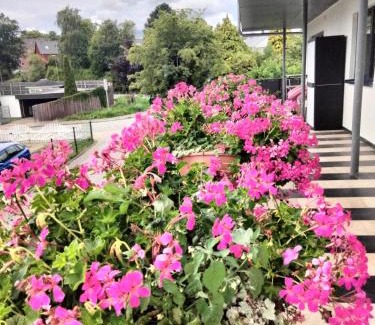 Nordstadt Apartamento | Komfort-Ferienwohnung mit Ostseeblick ,Entspannung