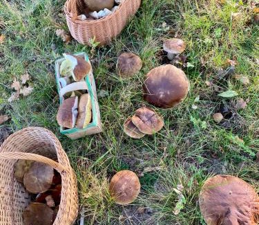 gmina Barwice Casa | Komfortowy domek z kominkiem