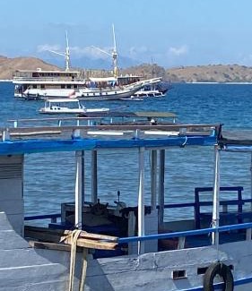Komodo Casa | Komodo wisata homestay