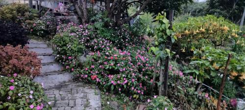 Kundasang Casa | KOMOWANAN HOMESTAY