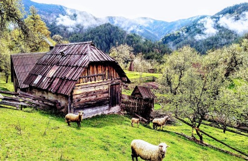 Bajina Basta Apartamento | Konaci Gradina
