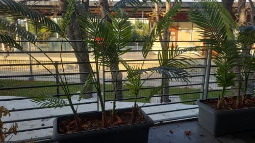Aksaray Hotel | KONAK BELLA 3