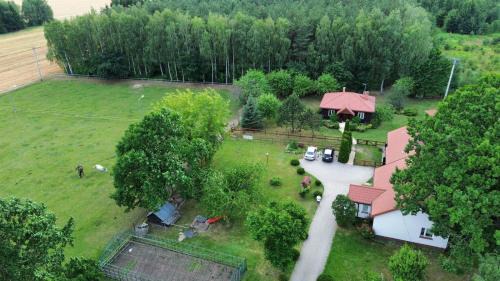 gmina Debe Wielkie Casa | Konie w Tle