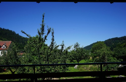 Untermunstertal Apartamento | Konradehof - Holiday apartment "Vogesenblick"