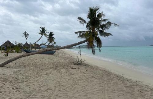 Guraidhoo Casa | Konut by Thakuru