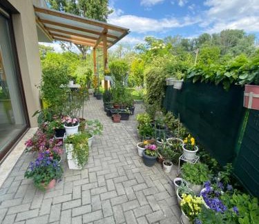 Pusztavacs Casa | Korzó Terasz Szentendre