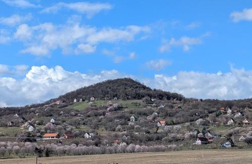 Monoszlo Apartamento | Kosbor Vendégház