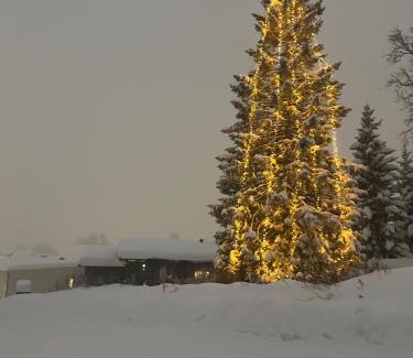 Tromso Apartamento | Koselig byleilighet sør i sentrum av Tromsø.