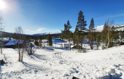 Bykle Casa | Koselig Fjellhytte Med Utsikt
