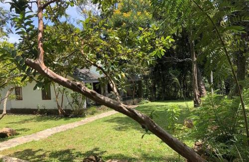 Bandarawela Apartamento | Koshi's Country Cottage Ella