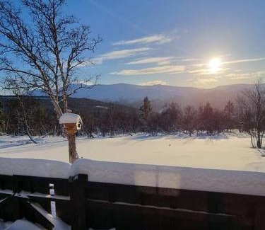 Dovre Casa | Koslig hytte ved Grimsdalen