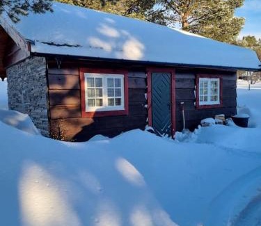 Dovre Casa | Koslig hytte ved Grimsdalen