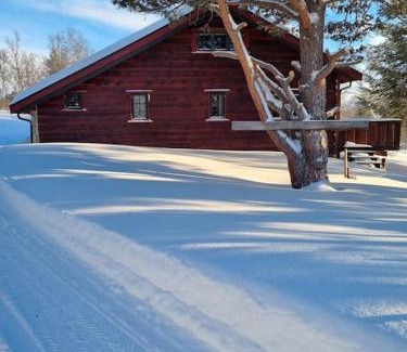 Dovre Casa | Koslig hytte ved Grimsdalen
