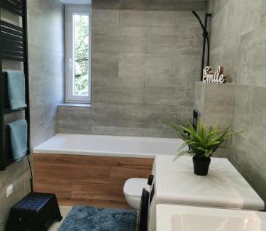 Dunaujvaros Apartamento | Kossuth 10