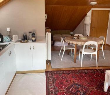Metsovo Apartamento | Kostis Central Loft
