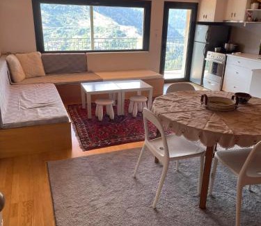 Metsovo Apartamento | Kostis Central Loft
