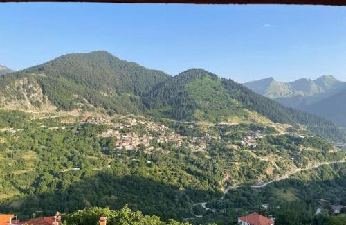 Metsovo Apartamento | Kostis Central Loft