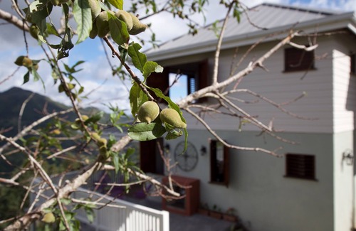 Newcastle Casa | Kotchin Villa