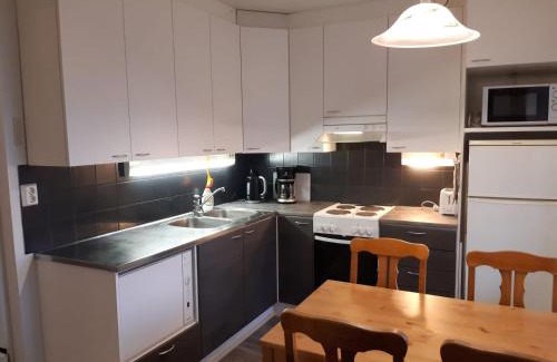Tormanmaki Apartamento | Kotipaljakka