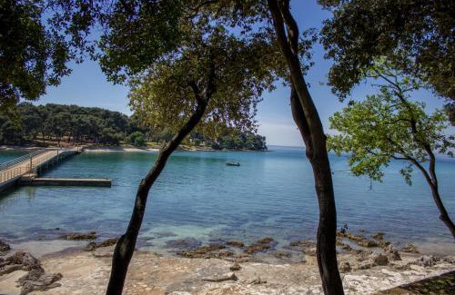 Vrsar Complejo | Koversada Camping Resort