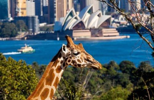 Haymarket Apartamento | KozyGuru | Sydney CBD | Convenient City Studio