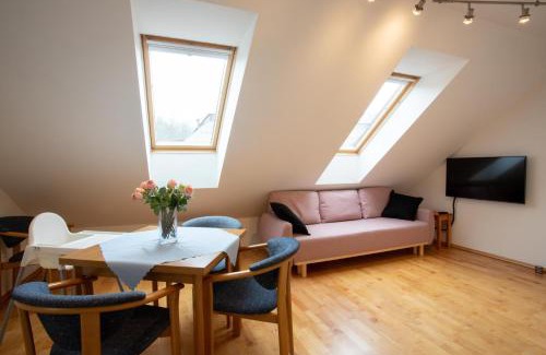 Cerny Dul Apartamento | Krásný vybavený byt u sjezdovky
