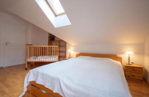 Cerny Dul Apartamento | Krásný vybavený byt u sjezdovky
