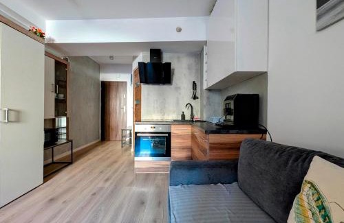 Krakow Apartamento | Królowej Jadwigi 9 by Homeprime