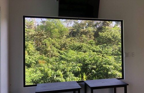 Agujas Casa | Kraken Cabin-escape in the jungle, abundance of wildlife, walk to Golfito Bay.