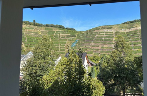 Ahrweiler Apartamento | Kräuterberg vacation apartment, modern attic apartment with vineyard view in the Ahr valley