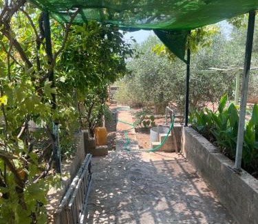 Agii Theodori Casa | Kristas studio